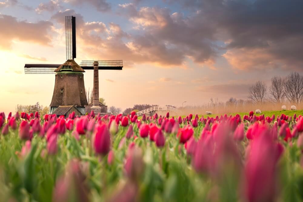 Zijn Casino’s Zonder CRUKS Of Vergunning Legaal In Nederland?
