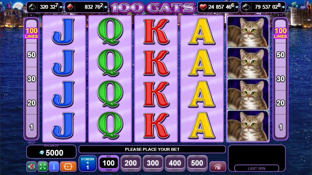 100 Cats